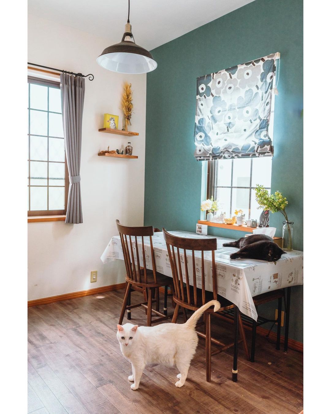 SNS�����������